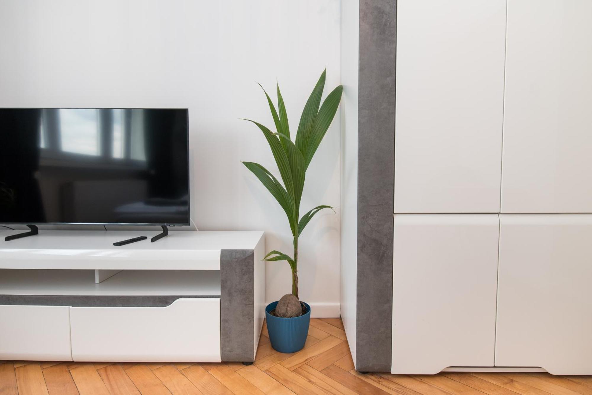 Apartament Dworcowa 24 Gliwice Zewnętrze zdjęcie
